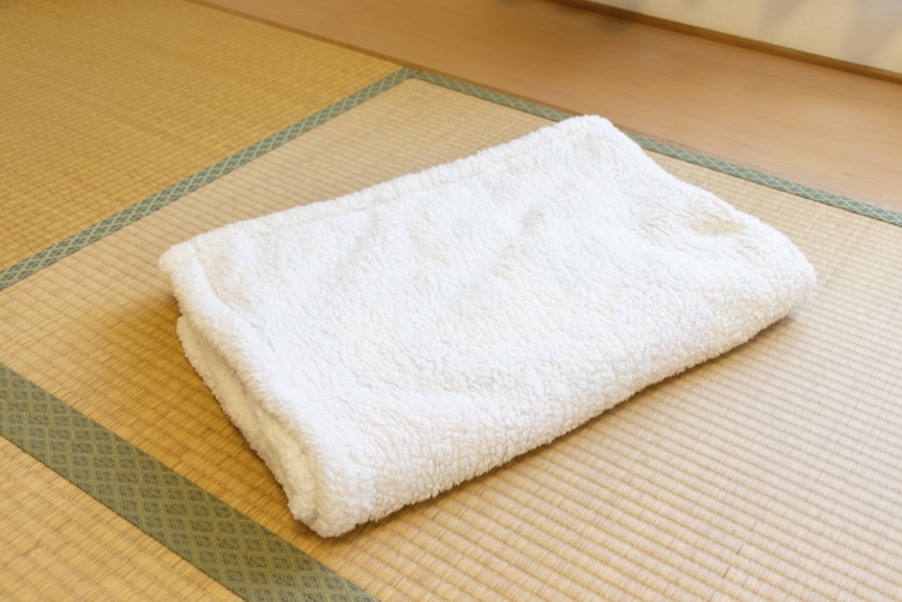 タオルケットって洗えるの 気になる洗濯頻度も解説 コインランドリー総合サイト Laundrich