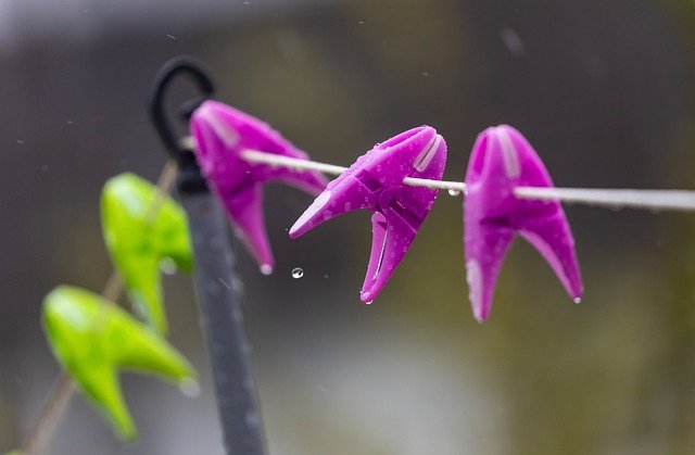 雨で濡れてしまった洗濯物は洗い直さなきゃダメ 理由と対処方法について解説 コインランドリー総合サイト Laundrich