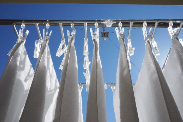 洗濯で花粉対策はできる 外干し時に注意することは コインランドリー総合サイト Laundrich